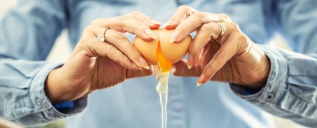 Study Finds Eggs Might Protect Brain Health And Lower Cholesterol